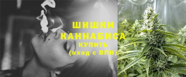 амф Вязьма