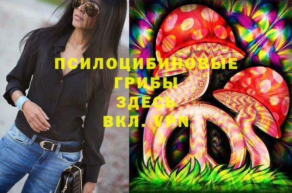 амф Вязьма